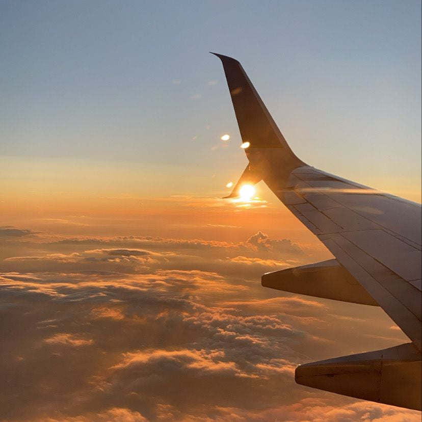 Healthy Habits While Traveling